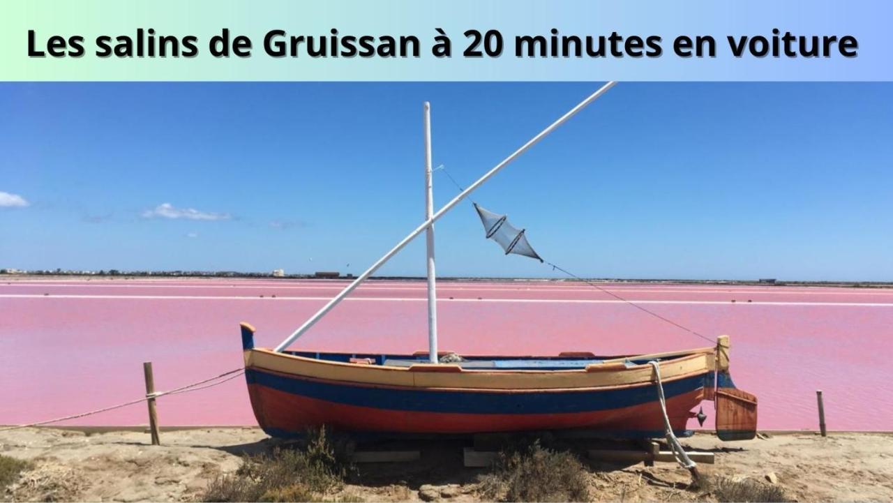 Le Cosy Leilighet Narbonne Eksteriør bilde